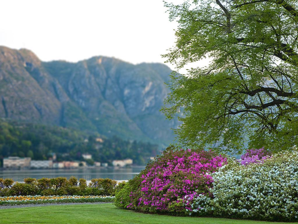 Colibri Lakeview Apartment Bellagio Cameră foto